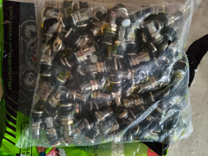 Сасок прямой