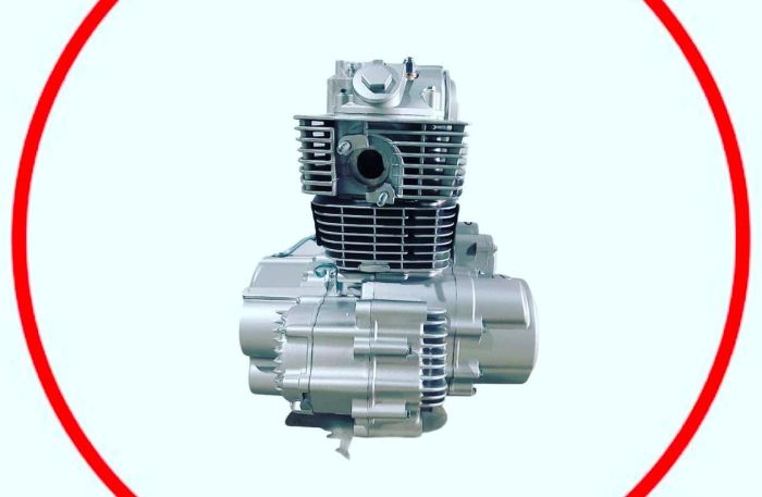 Двигатель  CB/300 куб (Белый цвет) jelmaia M21 ,M25,M23