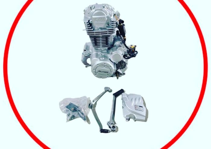 Двигатель  CB/300 куб (Белый цвет) jelmaia M21 ,M25,M23